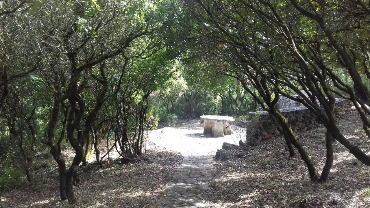 Cabeco Dos Tres Moinhos Villa Rio Maior Exterior photo